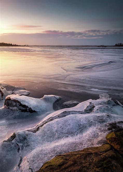 Icing On The Cake Photograph By Simmie Reagor Fine Art America