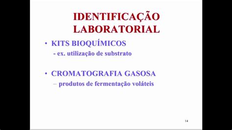 Aprenda Plugado BACTERIOLOGIA Aula 16 Slide 14 Identificação