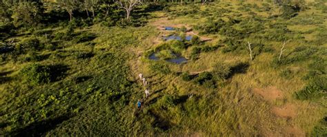 Guided Bush Walks Lukimbi Safari Lodge