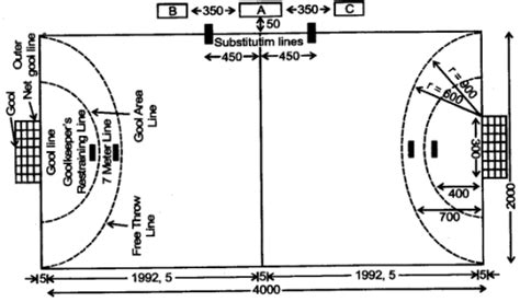 Draw a neat diagram of a Handball court giving all its measurements ...