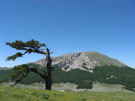 Vette Oltre I Metri Escursioni Nel Parco Nazionale Del Pollino