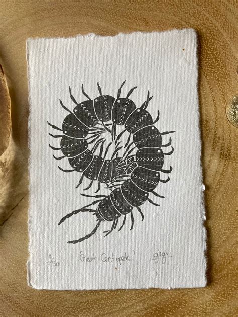 Limited Edition Giant Centipede Art Print On Handmade Paper Etsy