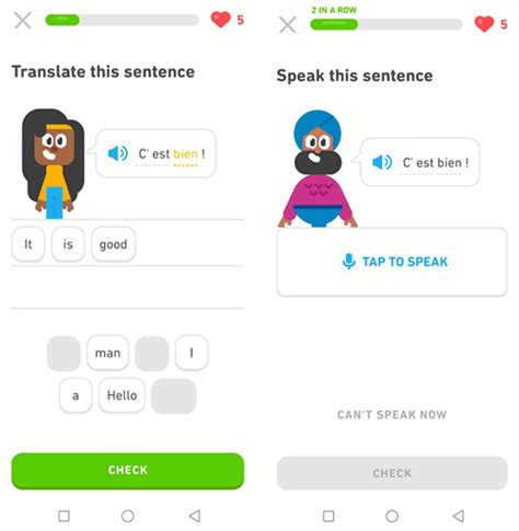 Duolingo French Review: How Does Duolingo Teach French?