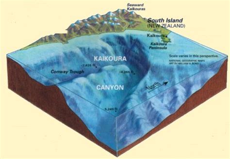 Visiting a subduction zone in New Zealand | Wooster Geologists