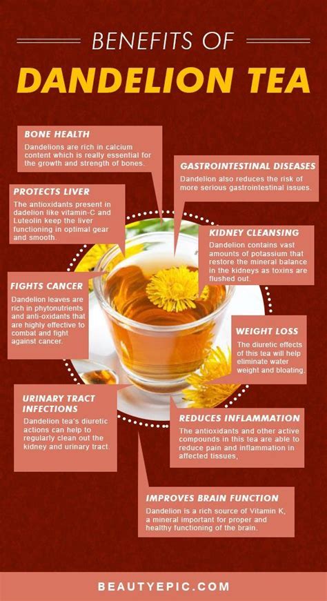 13 Amazing Benefits Of Dandelion Tea For Your Health And Skin Tea