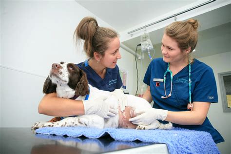 Veterinary Nursing - Reaseheath Business Hub