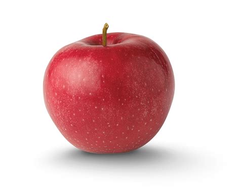 Rome - New York Apple Association