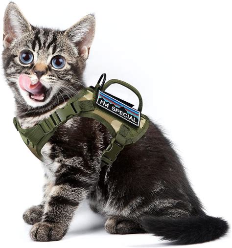 Pet Supplies Nanappice Tactical Cat Harness For Walking Adjustable