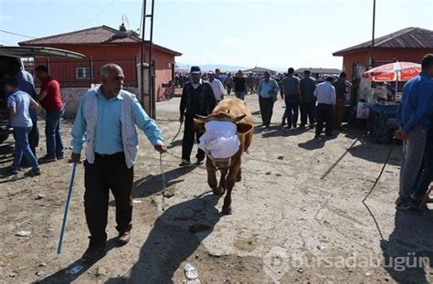 Kurban seçiminde nelere dikkat edilmeli Kimler kurban kesmeli kurban