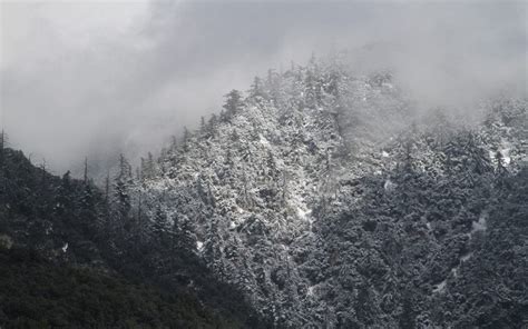 PHOTOS: Snow Line in Oak Glen | Banning, CA Patch