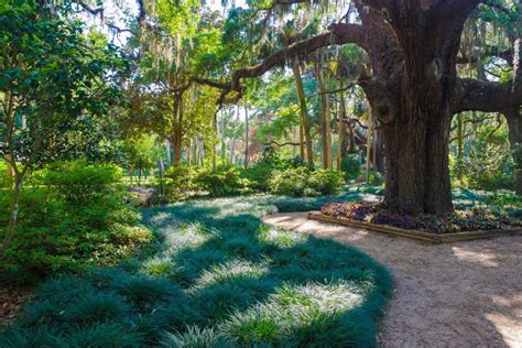 Washington Oaks Gardens State Park In Palm Coast Fl Americas State