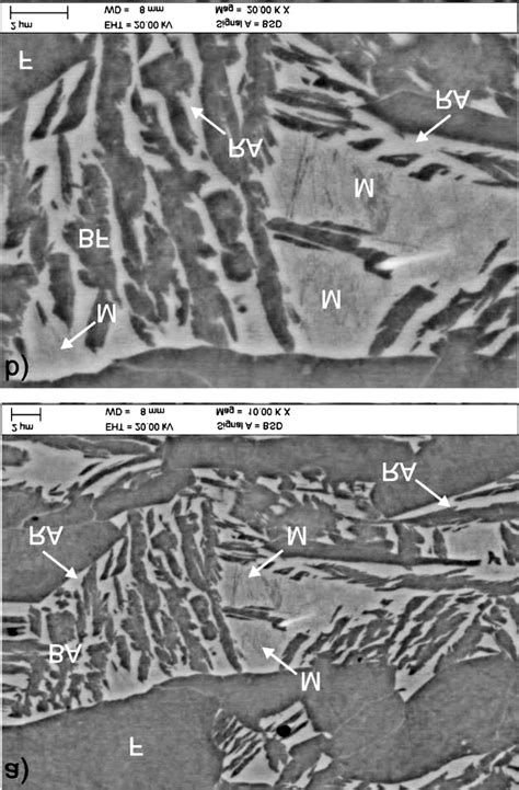 SEM Micrographs Showing Strain Induced Martensite In Small Blocky