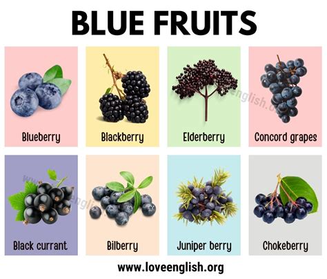 Blue Fruits With Best Benefits For Your Health Love English