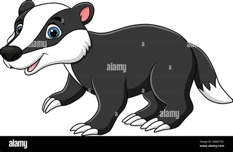 Cute Badger Cartoon Vector Illustration Stock Vector Image Art Alamy