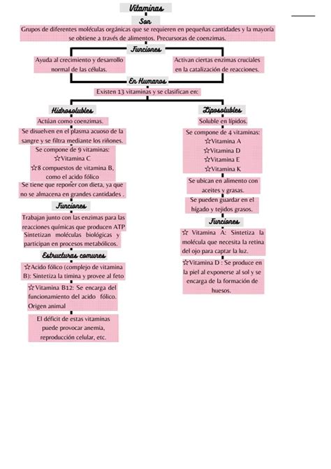 Sumario Resumen Y Mapa Conceptual De Vitaminas Sales Minerales Y Agua Porn Sex Picture