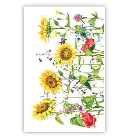 Zonnebloemen Rode En Paarse Bloemen Primeurcards