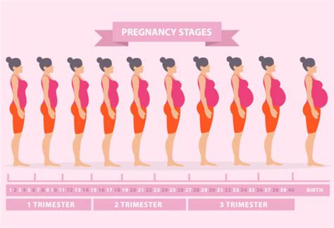 Pregnancy Symptoms Week by Week | First Trimester - HealthPulls