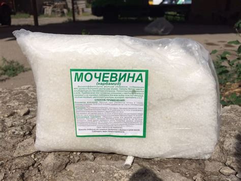 Подкормка клубники мочевиной весной, как правильно вносить карбамид