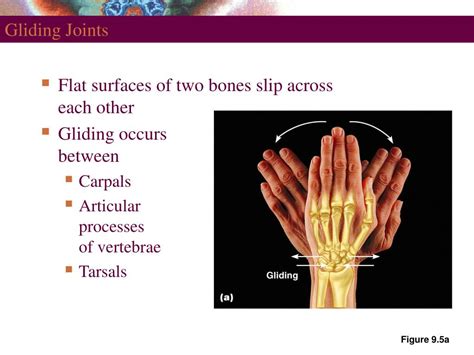 Gliding Joint Diagram