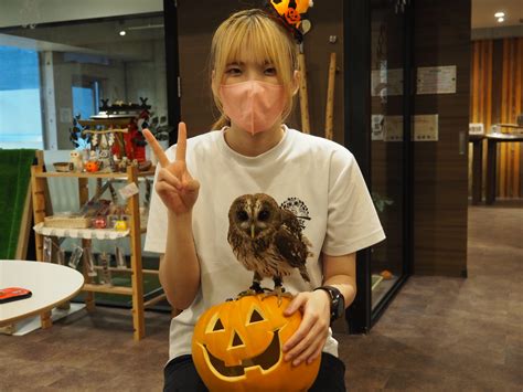 今年のハロウィンはchouetteへ！ Blog 大阪心斎橋 幸せのフクロウカフェchouette（シュエット）