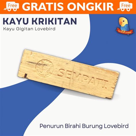 Jual Gigitan Kayu Untuk Lovebird Kayu Krikitan Penurun Birahi Burung