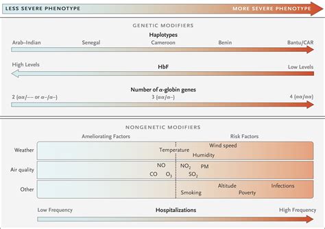 Sickle Cell Disease Nejm