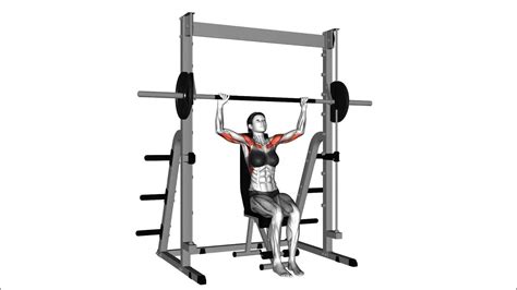 Fitpair Female Smith Seated Shoulder Press Youtube