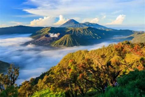 Mendaki Puncak Tertinggi Di Jawa Timur Petualangan Seru Ke Gunung