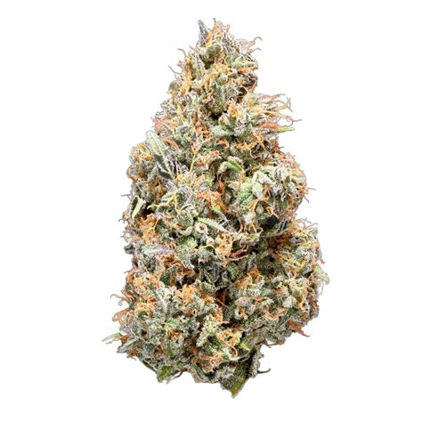 Buy Tribal Cuban Linx Online Arcannabis