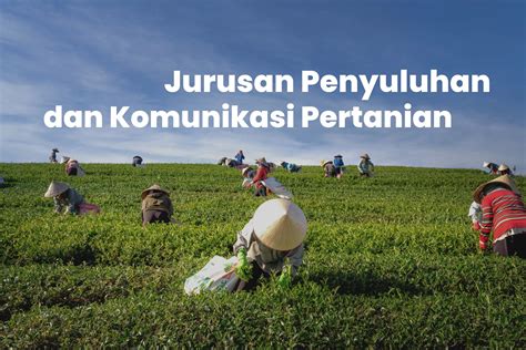 Jurusan Penyuluhan Dan Komunikasi Pertanian Info Kuliah Dan Prospek Kerja