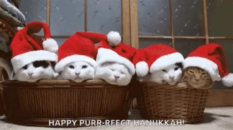 Kitties Christmas Kitties GIF - Kitties Christmas Kitties Winking ...