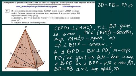 Задания по егэ математика 2024