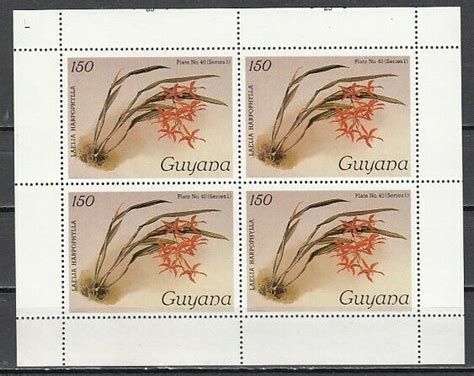 Guyana Scott Cat Orchid Value As A Sheet Of Central