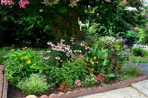 Flowers and Nature in my Garden: Flower Beds