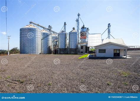 Instalaciones De Silo Complejas Para El Grano De Almacenamiento Imagen