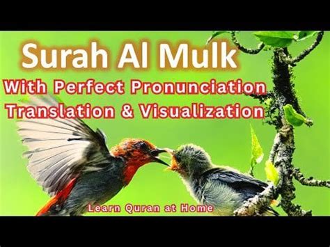 Surah Al Mulk Slow Recitation | Surah Mulk Word-by-Word Correct ...