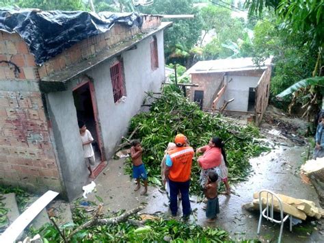 G1 Chuva Causa Deslizamentos E Tombamento De árvores Em Manaus