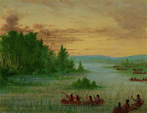 Ojibway Indians Gathering Wild Rice George Catlin Gilcrease Museum