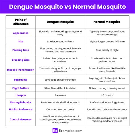 Dengue Mosquito Vs Normal Mosquito Differences Explained With