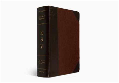 ESV Study Bible, Large Print | Grace & Truth Books