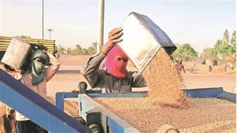 Panel Wants Govt To Allow Distribution Of Millets Along With Rice And