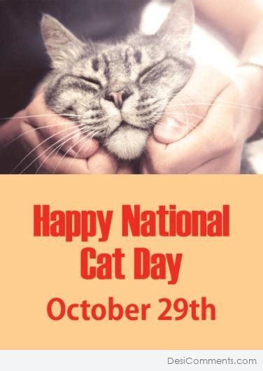 October 29th National Cat Day Desi Comments