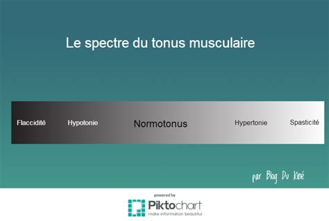 Le Spectre Du Tonus Musculaire Blogdukine