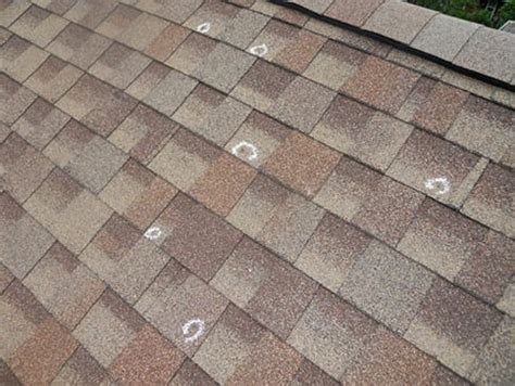 Hail Damage To Roof Systems Deer Park Roofing LLC