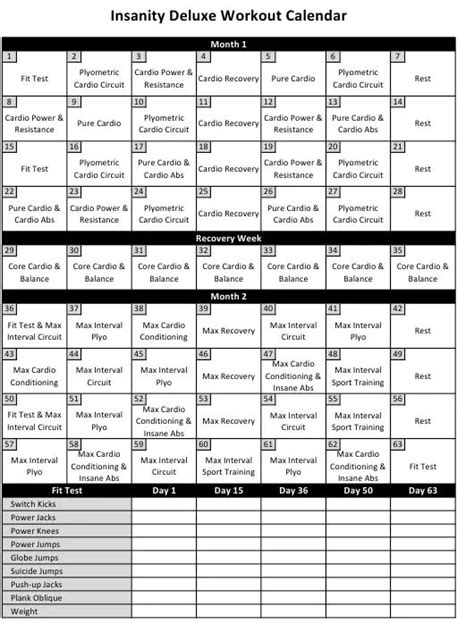 Insanity Workout Schedule Download Printable PDF | Templateroller ...