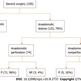 Anastomosis characteristics for the second surgery. P: Perforating ...