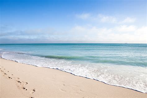 Pantai Miami Florida Foto Stok Unduh Gambar Sekarang Pantai