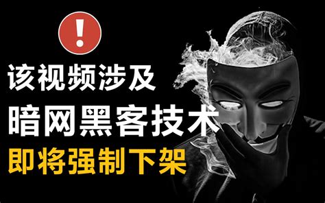 只要你敢学我就敢发，花2w学来的暗网黑客技术！网络安全渗透测试黑客攻防内网 哔哩哔哩