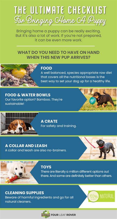 ultimate checklist  bringing home  puppy