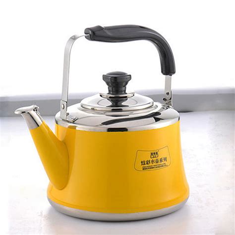 Induction Cooker Whistling Kettle - ApolloBox